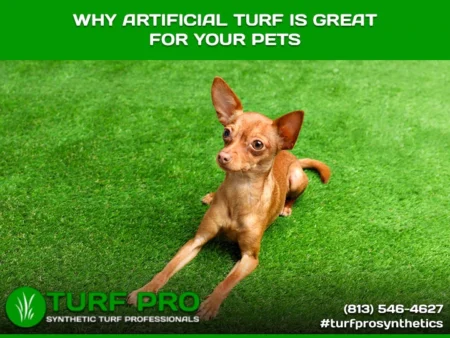 The Benefits of Using Artificial Turf for Your Pets