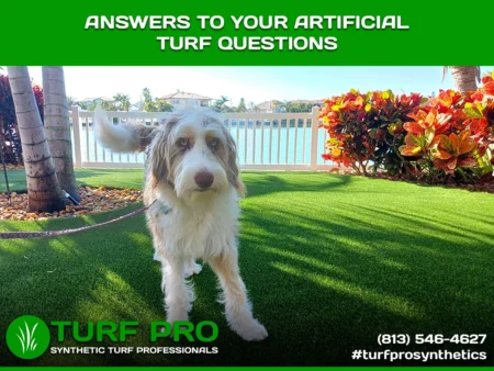 Questions to ask about artificial turf
