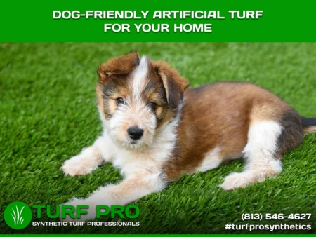 the best reasons for having artificial turf as a dog-friendly entity